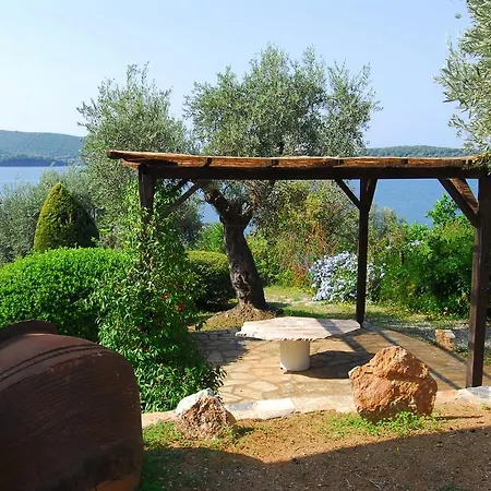 Saint Andrews Bay Milina