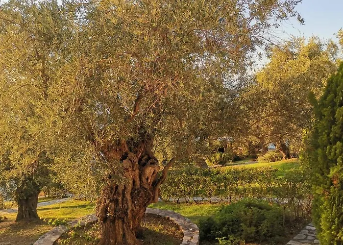 Casa vacanze Saint Andrews Bay *