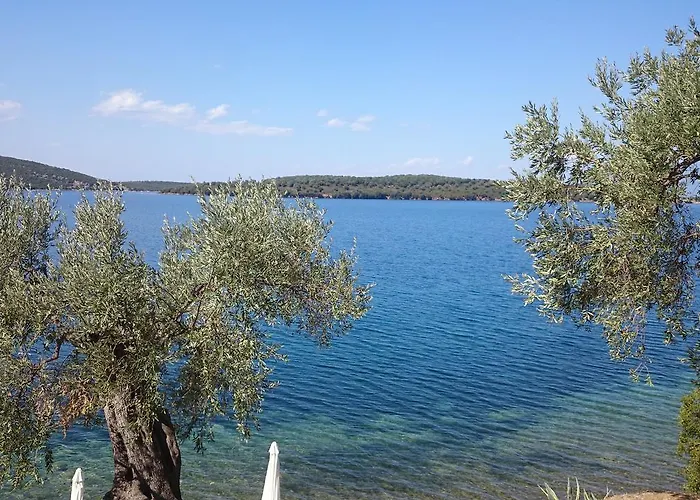 Saint Andrews Bay Milina