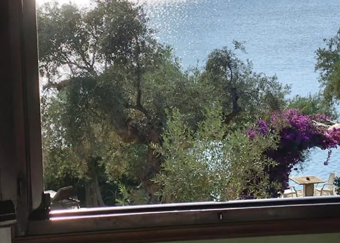 Saint Andrews Bay * Milina