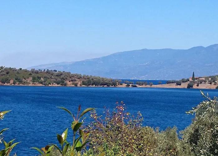 Dom wakacyjny Saint Andrews Bay *